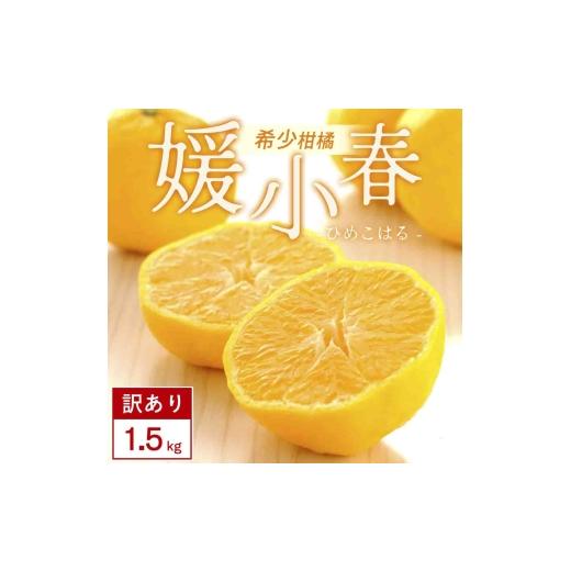 ふるさと納税 みかん・柑橘類 愛媛県 八幡浜市 先行受付 訳あり 媛小春 1.5kg みかん 愛媛県 八幡浜市 西宇和地区 希少な幻の柑橘 C25-359 1715672 YW