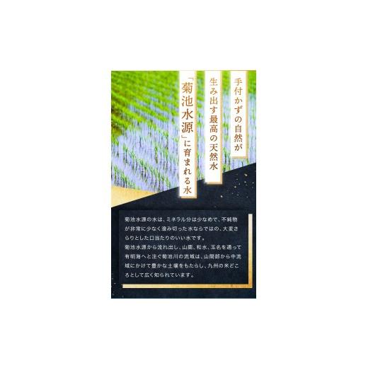 ふるさと納税 米 熊本県 玉名市  定期便6回 熊本県産 森のくまさん 無洗米 選べる 認知的内容量 25kg | お米 無洗米 お米 25キログラム 150キログラム お米 貨物輸送無料 お米 熊本 …