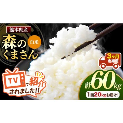 ふるさと納税 米 熊本県 玉名市 定期便3回 熊本県産 白米 森のくまさん 選べる 内容量 20kg | お米 精米 白米 お米 20キロ お米 送料無料 お米 熊本 くまもと…