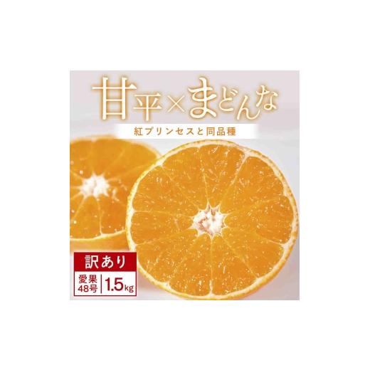 ふるさと納税 みかん・柑橘類 愛媛県 八幡浜市 先行受付 訳あり 甘平×まどんな1.5kg 「紅プリンセス」と同品種 愛媛果試48号みかん C25-376 1715579 YWTAP31…