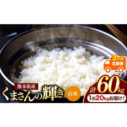 ふるさと納税 米 熊本県 玉名市 定期便3回 熊本県産 白米 くまさんの輝き 20kg | お米 米 こめ おこめ 精米 白米 20キロ フードロス 国産 国産米 くまもと 熊…