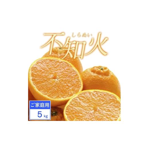 ふるさと納税 みかん・柑橘類 デコポン 愛媛県 八幡浜市 先行受付 ご家庭用 不知火 5kg みかん 愛媛県 八幡浜市 西宇和地区 C25-388 1718388 YW