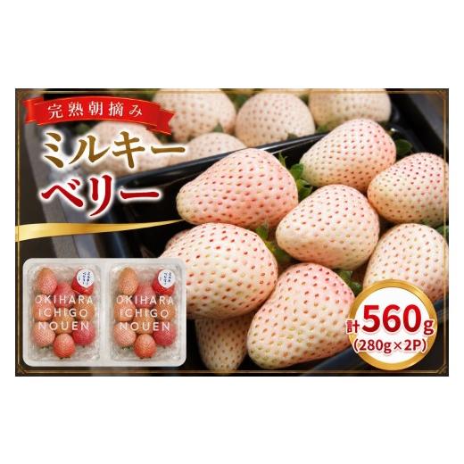 ふるさと納税 いちご 栃木県 矢板市 白いちご「ミルキーベリー」 560g (280g×2P)| 栃木県 矢板市 澳原いちご農園