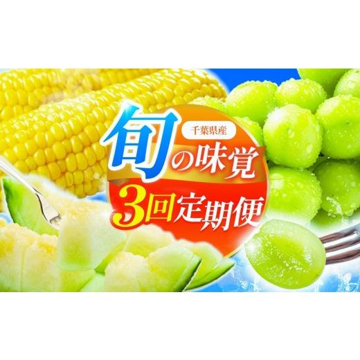 ふるさと納税 ぶどう マスカット 千葉県 君津市 定期便 3回 旬の味覚 3種 とうもろこし メロン シャインマスカット 愛彩畑 のセレクトシリーズ | 人気の 直売…