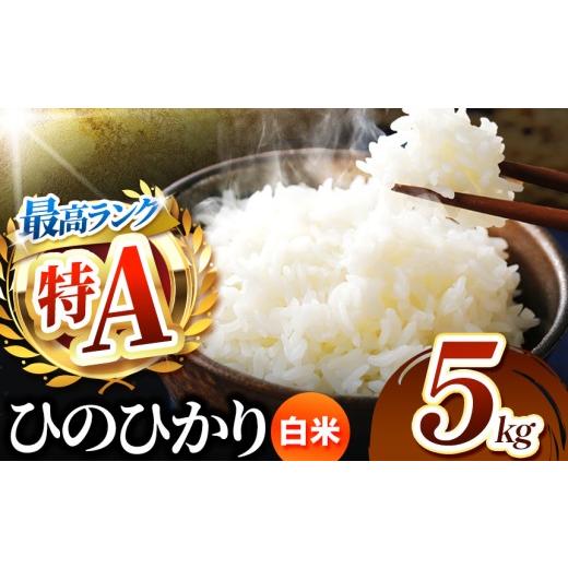 ふるさと納税 米 熊本県 玉名市 熊本県産 ひのひかり 白米 5kg | お米 精米 白米 ヒノヒカリ お米 米 送料無料 お米 熊本 くまもと お米 熊本県 国産 KOKUSAN …