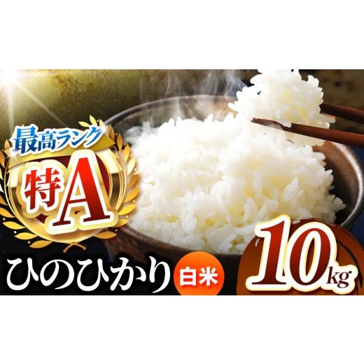 ふるさと納税 米 熊本県 玉名市 熊本県産 ひのひかり 白米 10kg | お米 精米 白米 ヒノヒカリ お米 お米 送料無料 お米 熊本 くまもと お米 熊本県 国産 KOKUS…