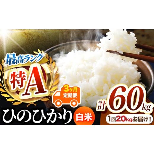 ふるさと納税 米 ヒノヒカリ 熊本県 玉名市 定期便3回 熊本県産 白米 ひのひかり20kg | お米 米 こめ おこめ 精米 白米 ヒノヒカリ 20キロ 60キロ ご飯 国産 …