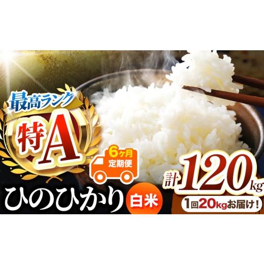 ふるさと納税 米 ヒノヒカリ 熊本県 玉名市 定期便6回 熊本県産 白米 ひのひかり 20kg | 20キロ 120キロ お米 米 こめ おこめ 精米 白米 ヒノヒカリ 5キロ 30…