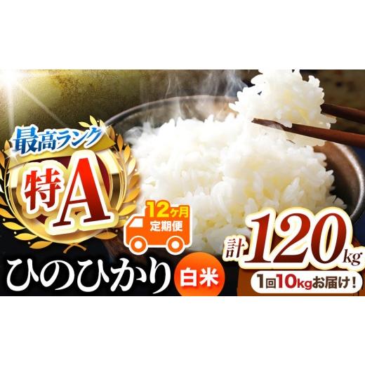 ふるさと納税 米 ヒノヒカリ 熊本県 玉名市 定期便12回 熊本県産 白米 ひのひかり 10kg | お米 米 こめ おこめ 精米 白米 ヒノヒカリ 10キロ 120キロ ご飯 国…