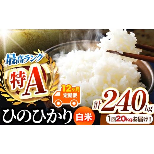 ふるさと納税 米 ヒノヒカリ 熊本県 玉名市 定期便12回 熊本県産 白米 ひのひかり 20kg | お米 米 こめ おこめ 精米 白米 ヒノヒカリ 20キロ 240キロ ご飯 国…