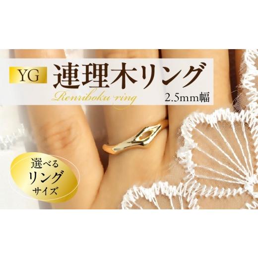 ふるさと納税 アクセサリー リング 愛知県 小牧市 K18連理木リング[2.5mm幅](20号) 20号