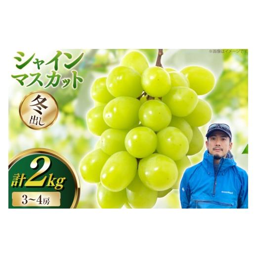 ふるさと納税 ぶどう 山形県 高畠町 期間限定発送 シャインマスカット 冬出し 3〜4房 約2kg 井上農園 山形県 高畠町 tk06box920000 ぶどう ブドウ 葡萄 マス…