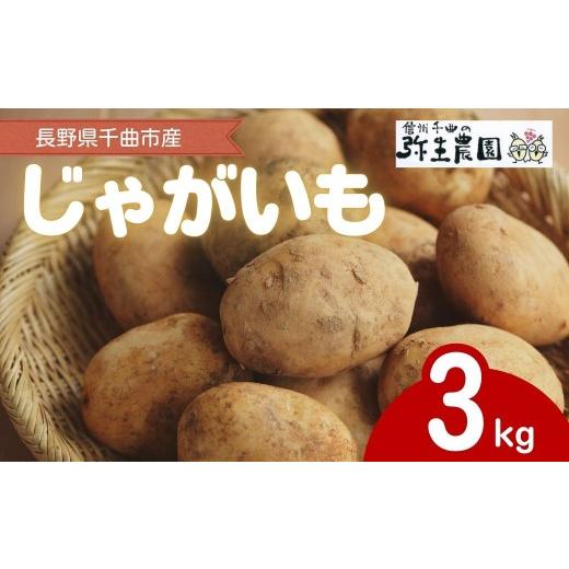 ふるさと納税 野菜類 じゃがいも 長野県 千曲市 2026年先行予約 千曲市産 じゃがいも 3kg | 芋 ジャガイモ 野菜 農家直送 国産 信州 千曲 長野 長野県 3kg