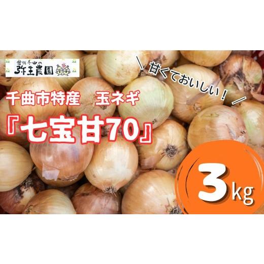 ふるさと納税 野菜類 玉ねぎ 長野県 千曲市 2026年先行予約 千曲市特産 玉ネギ 「七宝甘70」 3kg | 玉ねぎ たまねぎ 国産 野菜 農家直送 甘い 信州 千曲 長野…