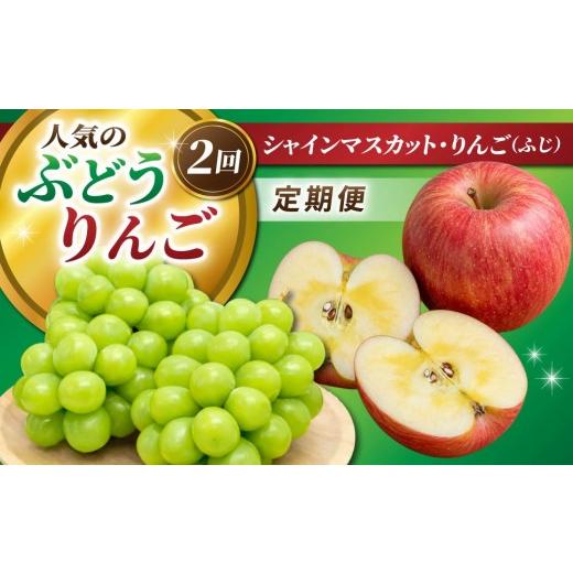 ふるさと納税 ぶどう マスカット 長野県 東御市 人気のぶどう・りんご2回定期便(シャインマスカット・ふじ)|JA信州うえだ農業協同組合 長野県 東御市産