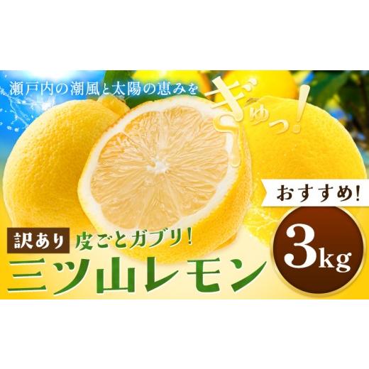 ふるさと納税 みかん・柑橘類 レモン 岡山県 浅口市 [先行予約] 訳あり 三ツ山レモン 3kg 三ツ山レモンファーム[12月下旬-3月中旬頃出荷]岡山県 浅口市 送…