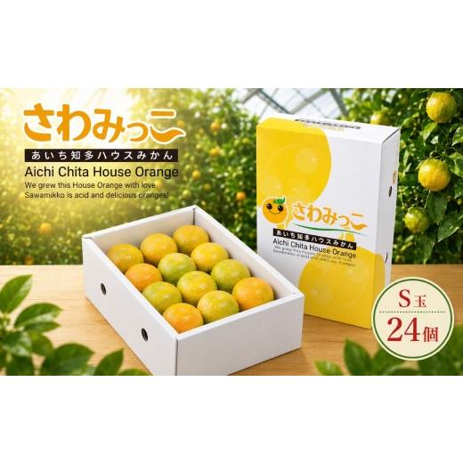 ふるさと納税 果物類 みかん 愛知県 美浜町 さわみっこ (S玉/24個) 2段化粧箱 | みかん オレンジ 果物 くだもの フルーツ ふるーつ 爽やか 果実 季節限定 先…