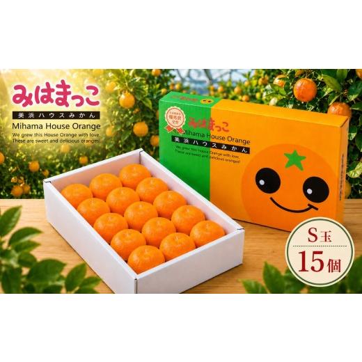 ふるさと納税 果物類 みかん 愛知県 美浜町 みはまっこ (S玉/15個) 平詰化粧箱 | みかん オレンジ 果物 くだもの フルーツ ふるーつ 果実 季節限定 先行予…