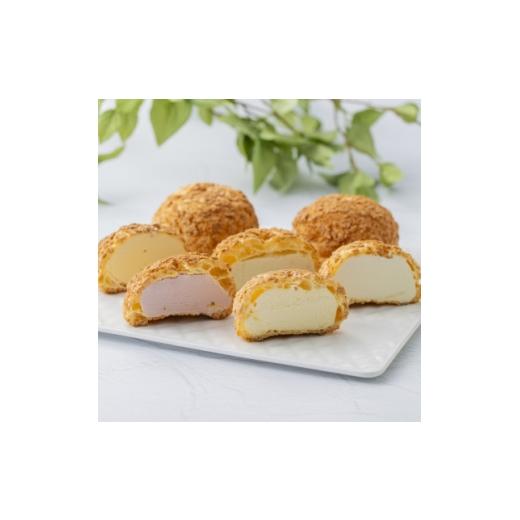 ふるさと納税 菓子 アイス 愛知県 岡崎市 銀座プレミアムシューアイス9個入 PGS-506 1714778