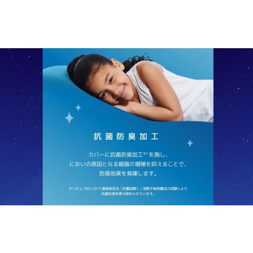 ふるさと納税 雑貨・日装具 三重県 四日市市 Yogibo Pyramid Premium 菩提樹緑であること│貨物輸送無料 全国送りとどける離島含 ビーズ座蒲団 取りまかなう 洗える（ヨギボー ピ…