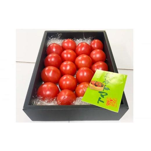 ふるさと納税 野菜類 トマト 高知県 高知市 濃厚 徳谷トマト約1.0kg 箱