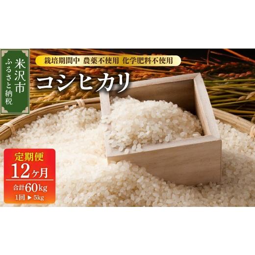 ふるさと納税 米 コシヒカリ 山形県 米沢市 先行予約 12ヶ月定期便 令和8年産 コシヒカリ 5kg × 12回 計 60kg 特別栽培米 栽培期間中農薬不使用・化学肥料不…