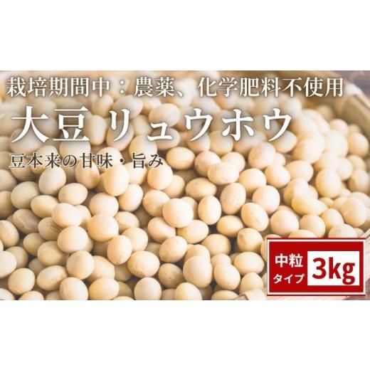 ふるさと納税 豆類 大豆 岩手県 滝沢市 栽培期間中:農薬不使用 大豆 りゅうほう 3kg へいわのうえん 豆 まめ マメ ダイズ 中粒 国産 なっとう 納豆 豆腐 トウ…