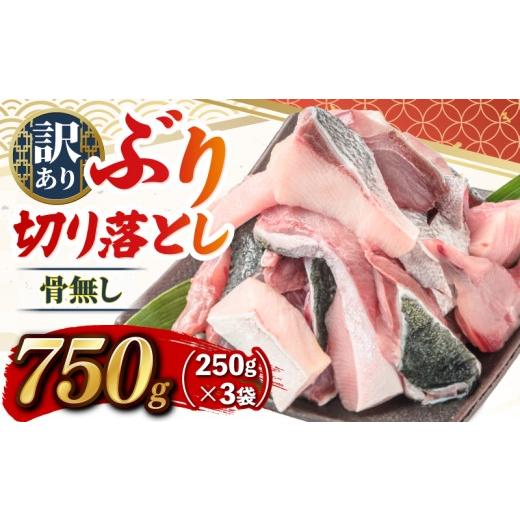 ふるさと納税 旬の鮮魚等 高知県 宿毛市 ブリ切り落とし 約750g(250g×3袋) すくも湾漁業組合 約750g(250g×3袋) 6,000円