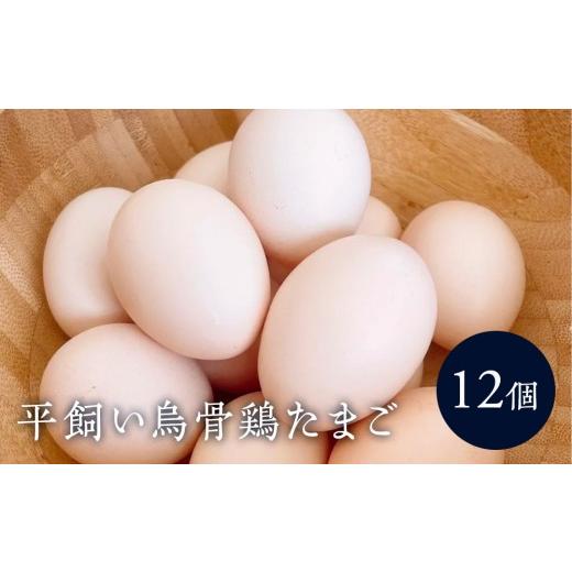 ふるさと納税 卵(鶏、烏骨鶏等) 神奈川県 湯河原町 平飼い烏骨鶏のたまご12個