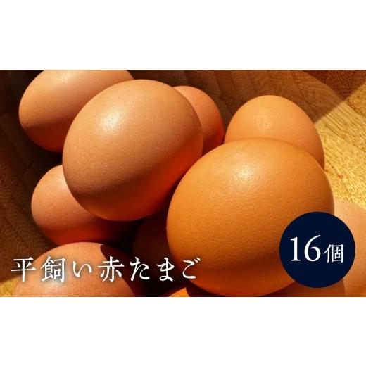 ふるさと納税 卵(鶏、烏骨鶏等) 神奈川県 湯河原町 平飼い赤たまご16個