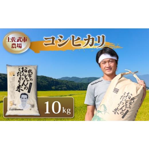 ふるさと納税 米 コシヒカリ 高知県 南国市 先行予約 コシヒカリ 白米 10キロ 10kg 数量限定 米 コメ お米 精米 ご飯 おにぎり こめ ライス 令和8年度 農家直…