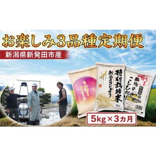 ふるさと納税 米 新潟県 新発田市 令和7年産 おたのしみ定期便3ヵ月 定期便 5kg×3ヵ月 計15kg コシヒカリ こしひかり ミルキークイーン 食べ比べ 3種 新潟産…