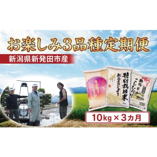 ふるさと納税 米 新潟県 新発田市 令和7年産 おたのしみ定期便3ヵ月 定期便 10kg(5kg×2袋)×3ヵ月 計30kg コシヒカリ こしひかり ミルキークイーン 食べ比…