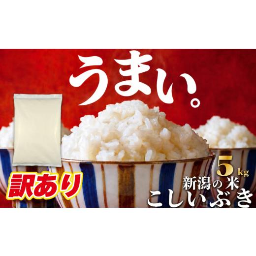 ふるさと納税 米 新潟県 新発田市 訳あり 令和7年産 こしいぶき 5kg コシヒカリ こしひかり 遺伝子を引き継ぐ 訳あり ご飯 備蓄 コメ お米 米 こめ 新潟産 新…