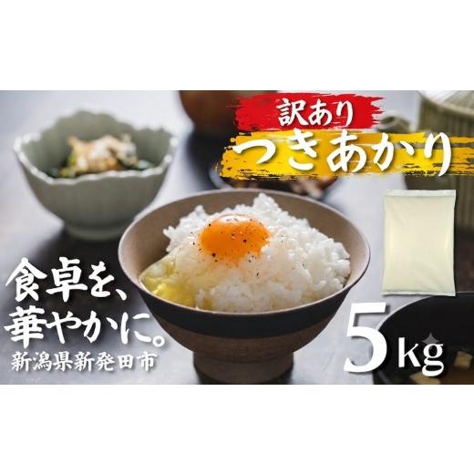 ふるさと納税 米 新潟県 新発田市 訳あり 令和7年産 つきあかり 5kg コシヒカリ こしひかり 同等以上の食味 訳あり ご飯 備蓄 コメ お米 米 こめ 新潟産 新潟…