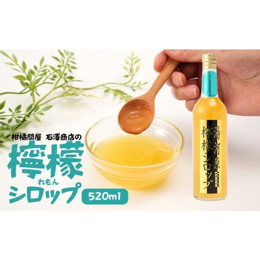 ふるさと納税 果汁飲料 神奈川県 湯河原町 檸檬シロップ 520ml | 湯河原町 湘南 柑橘 レモン シロップ 手作り フルーツ アレンジ
