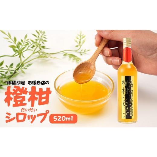 ふるさと納税 果汁飲料 神奈川県 湯河原町 橙柑シロップ 520ml | 湯河原町 湘南 柑橘 だいだい シロップ 手作り フルーツ アレンジ