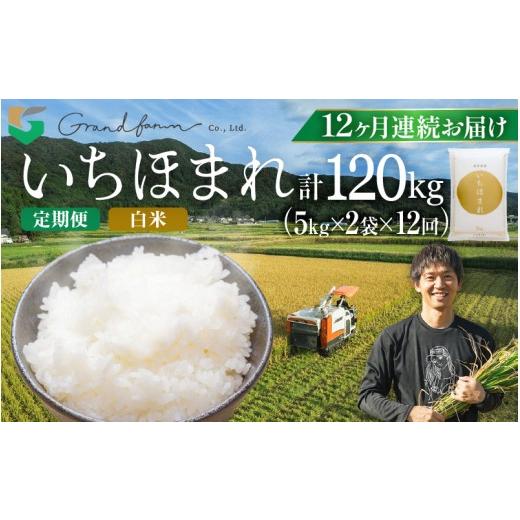 ふるさと納税 米 福井県 美浜町 先行予約 定期便 12ヶ月連続お届け 令和8年産 新米 いちほまれ 白米 10kg (5kg×2袋) 2026年10月上旬以降順次発送予定 定期 …
