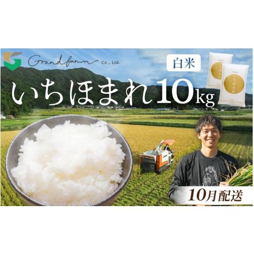 ふるさと納税 米 福井県 美浜町 先行予約 令和8年産 新米 いちほまれ 白米 10kg (5kg×2袋) 2026年10月発送 精米 福井県 美浜町産 白米 こめ コメ お米 おこ…
