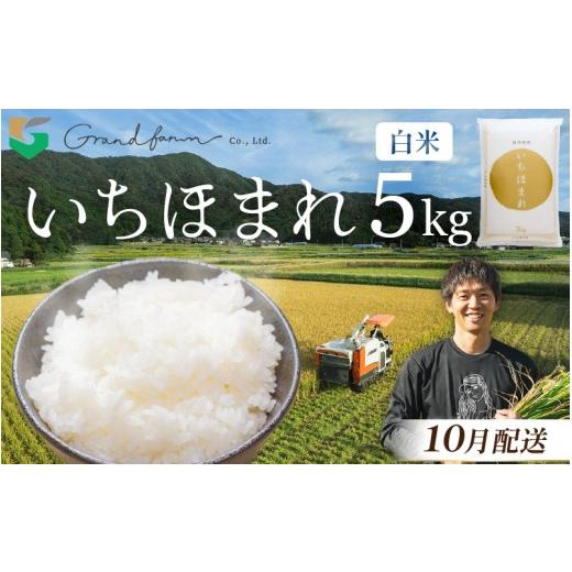 ふるさと納税 米 福井県 美浜町 先行予約 令和8年産 新米 いちほまれ 白米 5kg 2026年10月発送 精米 福井県 美浜町産 こめ コメ お米 おこめ 5キロ 10キロ お…