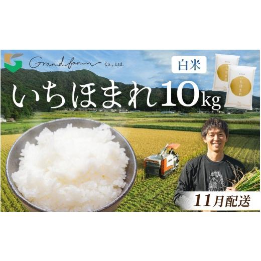 ふるさと納税 米 福井県 美浜町 先行予約 令和8年産 新米 いちほまれ 白米 10kg (5kg×2袋) 2026年11月発送 精米 福井県 美浜町産 白米 こめ コメ お米 おこ…