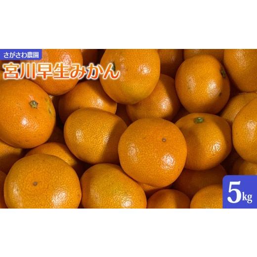 ふるさと納税 果物類 みかん 神奈川県 湯河原町 宮川早生みかん5kg | 湯河原町 みかん 柑橘 旬 宮川早生 5kg フルーツ