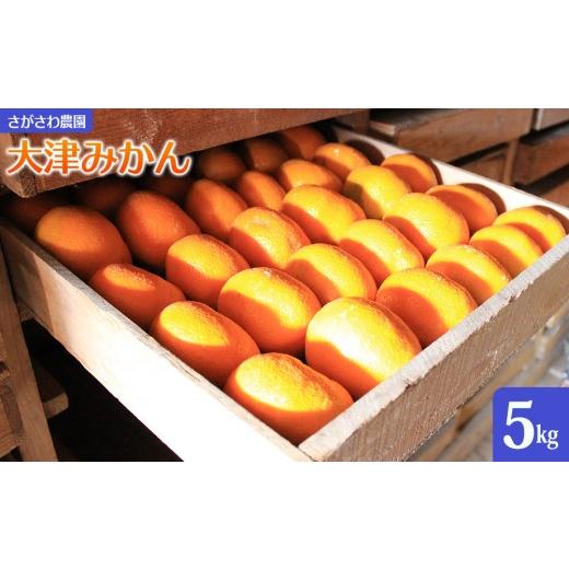 ふるさと納税 果物類 みかん 神奈川県 湯河原町 大津みかん 5kg | 湯河原町 湯河原発祥 みかん 柑橘 旬 大津4号 5kg フルーツ