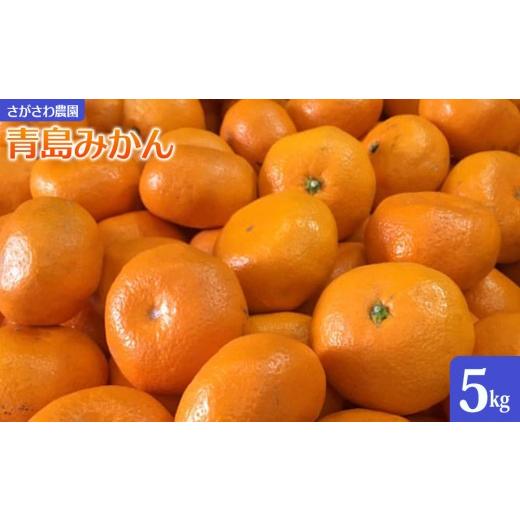 ふるさと納税 果物類 みかん 神奈川県 湯河原町 青島みかん5kg | 湯河原町 みかん 柑橘 旬 青島みかん 5kg フルーツ