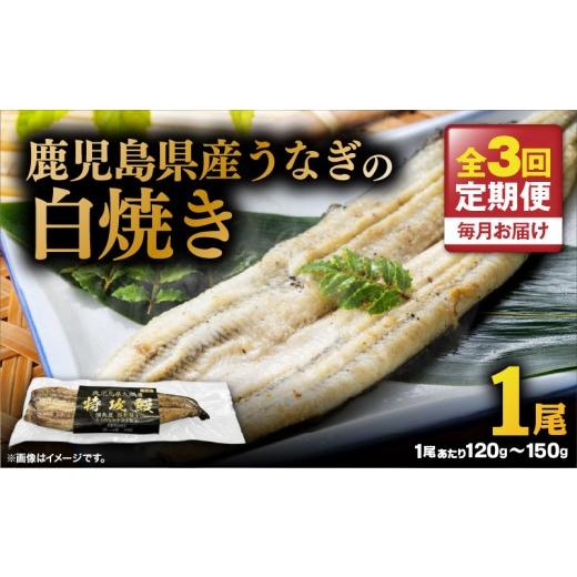 ふるさと納税 うなぎ 鹿児島県 鹿屋市 全3回定期便 鹿児島県産うなぎの白焼き 1尾 KN174-T06