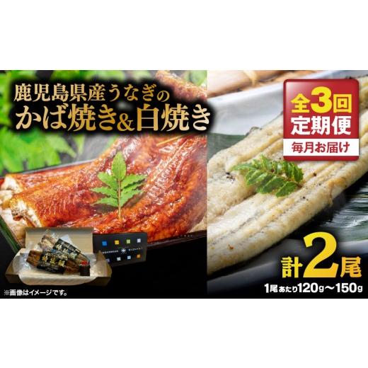 ふるさと納税 うなぎ 鹿児島県 鹿屋市 全3回定期便 鹿児島県産うなぎのかば焼き 1尾・白焼き 1尾 KN174-T09