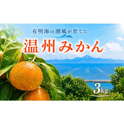 ふるさと納税 果物類 みかん 熊本県 玉名市 熊本県産 温州みかん 約3kg | 果物 フルーツ くだもの みかん ミカン 温州ミカン 熊本県 玉名市 味采市場 熊本県産…