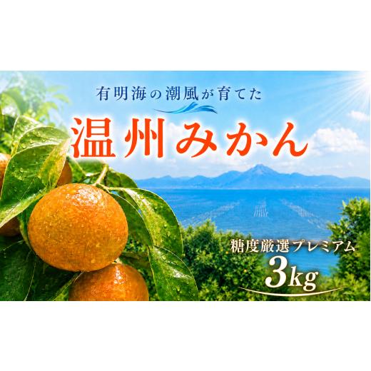 ふるさと納税 果物類 みかん 熊本県 玉名市 熊本県産 温州みかん 糖度厳選プレミアム 約3kg | 果物 フルーツ くだもの みかん ミカン 温州ミカン 熊本県 玉名…