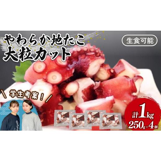 ふるさと納税 タコ 岩手県 大船渡市 やわらか 地たこ 250g×4 (計1kg) 簡単 小分け 個包装 カット済み ヤナギダコ 生食可 冷凍 大船渡市