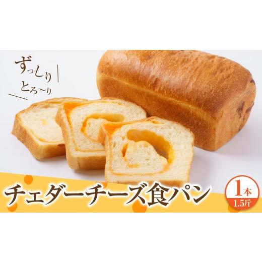 ふるさと納税 パン 食パン 千葉県 市原市 チェダーチーズ食パン1本(約1.5斤)